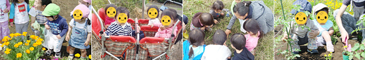 つくしっこふぁーむ